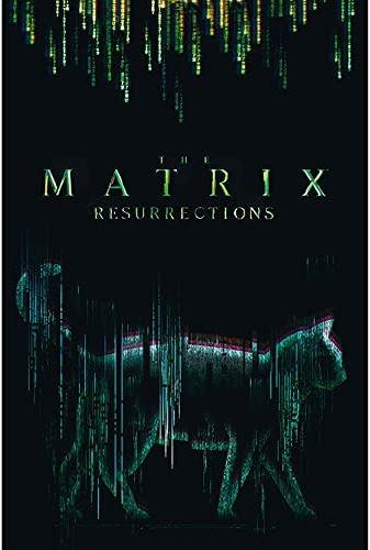 Image du produit ABYstyle The Matrix Poster : Cat (91.5x61) (91,5 x 61 cm)
