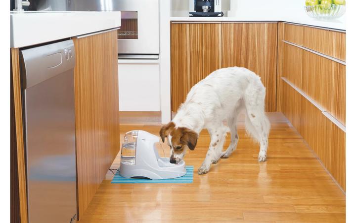 Produktbild PetSafe Platinum (5 l)