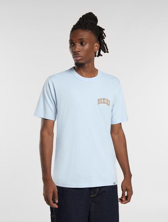 Actual product image Dickies Aitkin Chest Tee Ss Skyway (XL)