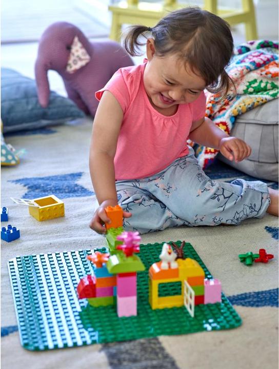 Image du produit LEGO Grand panneau de construction (2304)