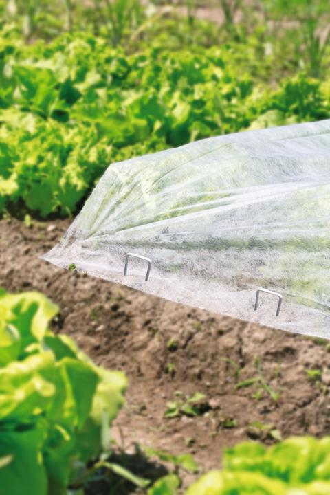 Produktbild Windhager Metall-Heringe