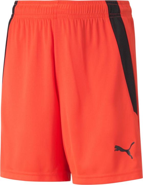 Image du produit Puma short teamLIGA Jr-704931 (128)