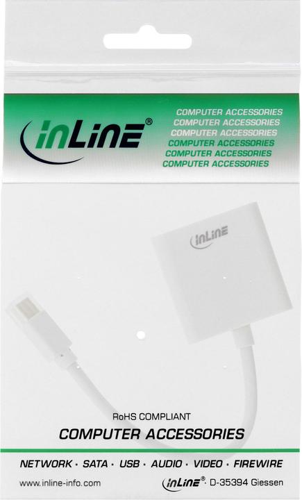 Actual product image InLine Mini DisplayPort to DVI Adapter (DVI, 16 cm)