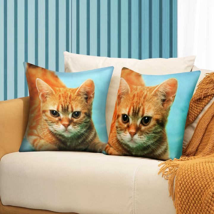 Produktbild Avizar 2 Stk. Kissenbezüge Gelbe Katze (40 x 40 cm)