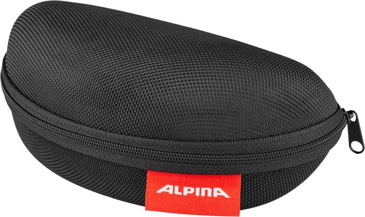 Produktbild ALPINA SPORTS Tri-Effect 2.0 (Grau, Schwarz)