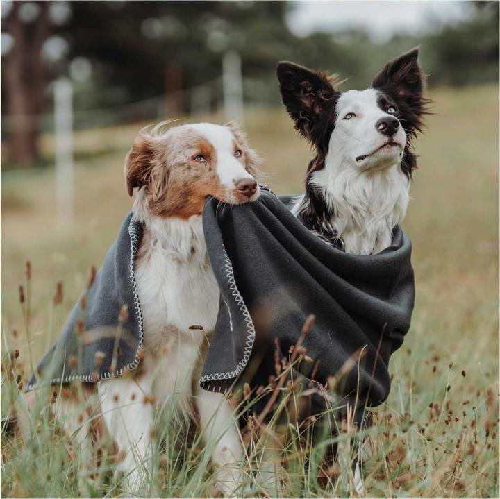 Image du produit Hunter Couverture pour chien Casper (Chien)