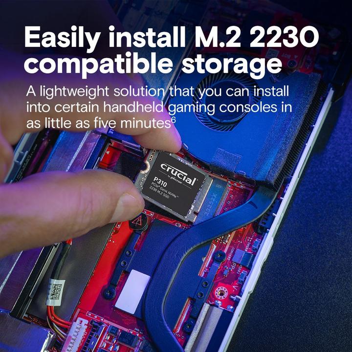 Actual product image Crucial P310 (1000 GB, M.2 2230)