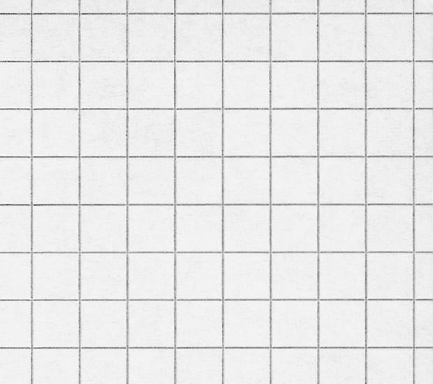 Actual product image Naturaline Exercise book FSC (A4, Checked, Hardcover)