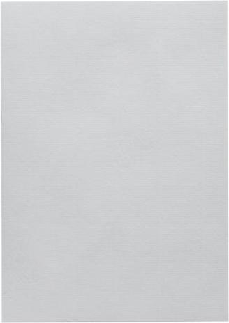Produktbild Artoz 1001 A4 220g lichtgrau 5 Kartons (A4, 220 g/m², 5 x)