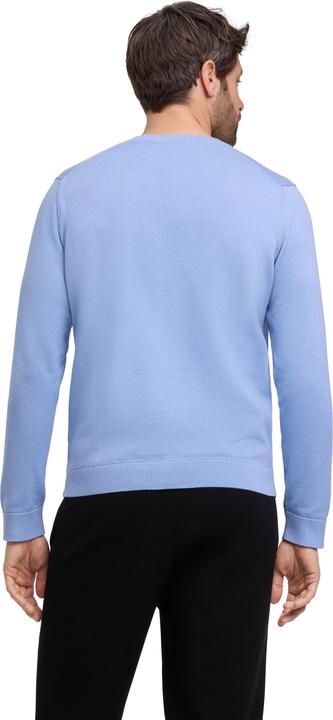 Produktbild Falke FAV Cotton V-Neck m (3XL)