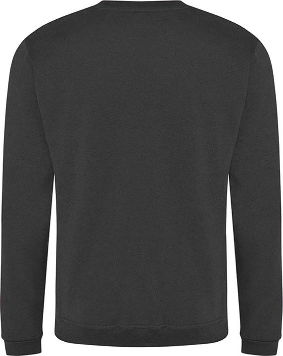 Image du produit Pro RTX Sweat-shirt (L)