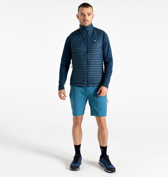 Actual product image Dare2b Descending II Gilet (S)