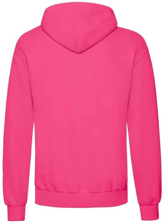 Actual product image Fruit of the Loom Adults Unisex Classic Hooded Sweatshirt (L)
