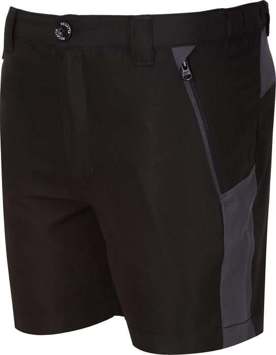 Actual product image Regatta Childrens/Kids Sorcer Mountain III Shorts (146, 152)