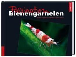 Image du produit Faszination Bienengarnelen (Allemand)