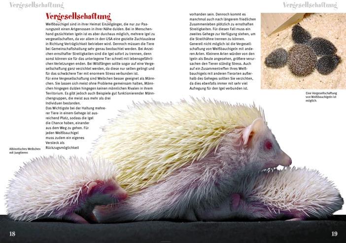Actual product image Weissbauchigel (German, Daniela Guist, 2014)