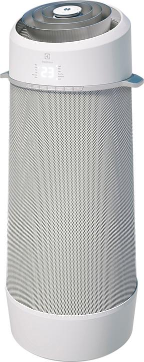 Electrolux air flower (40 m², 9000 BTU/h)