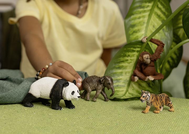 Produktbild Schleich Wild Life "Asien" Starter-Set