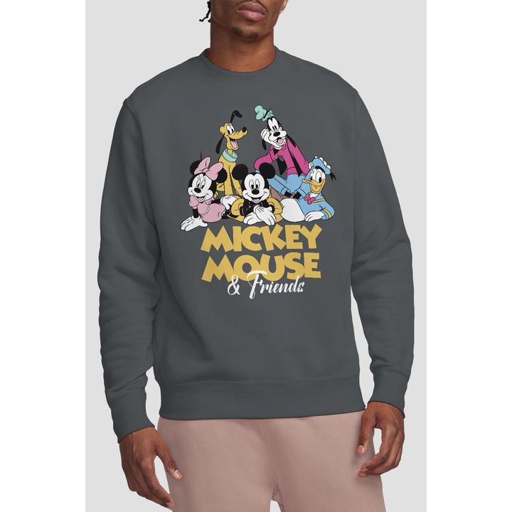 Image du produit Disney - Sweat - Adulte (M)