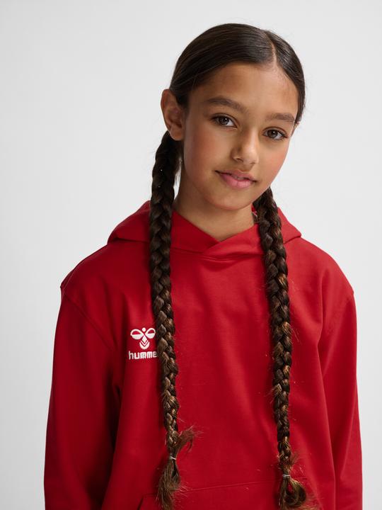 Actual product image hummel HMLGO 2.0 HOODIE KIDS (116)