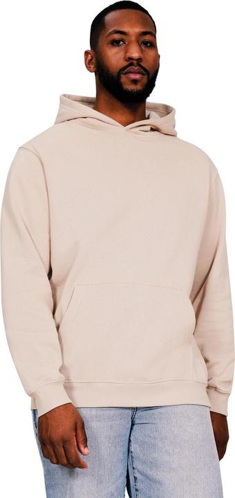 Produktbild Universal Textiles Core Kapuzenpullover (L)
