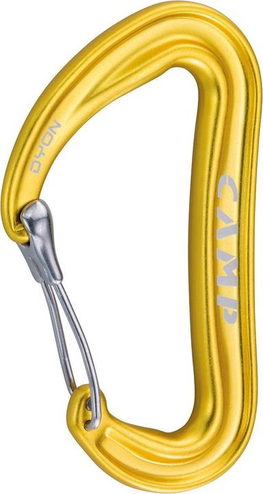 Actual product image Camp Dyon carabiner
