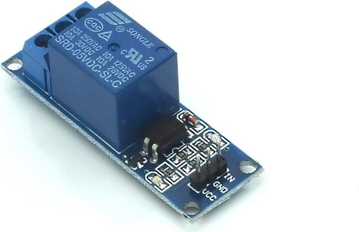 Actual product image Sertronics Relay Module (Power component)