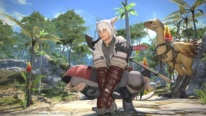 Image du produit Square Enix Final Fantasy XIV : Edition de démarrage en ligne (PS4, EN)