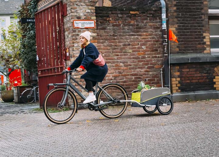 Actual product image Croozer Cargo Kalle