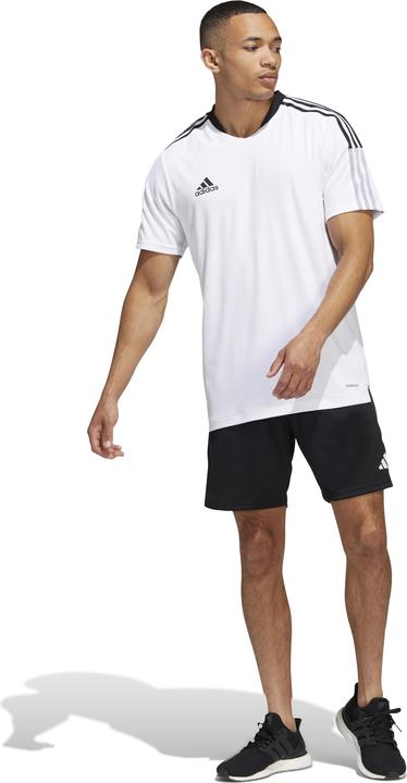 Actual product image adidas Tiro 23 Competition training shorts men (XL)