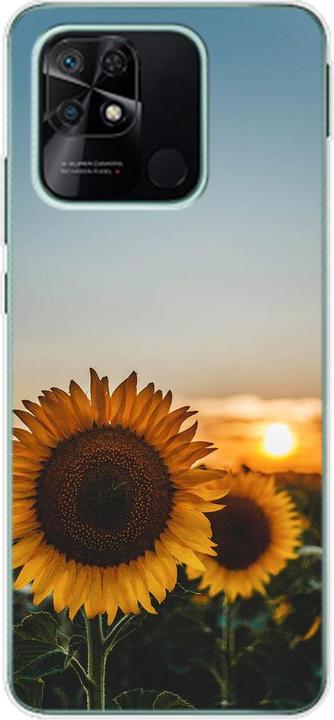 Sonnenblumen