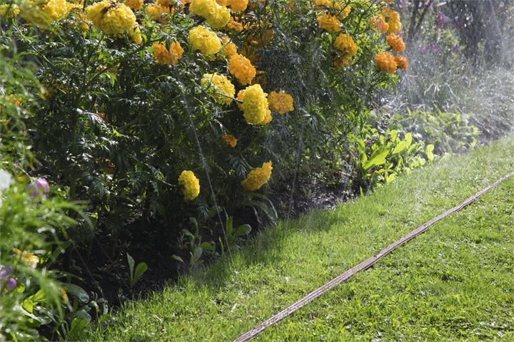 Immagine prodotto Gardena Irrigatori 1998-20 (Irrigatore a tubo)