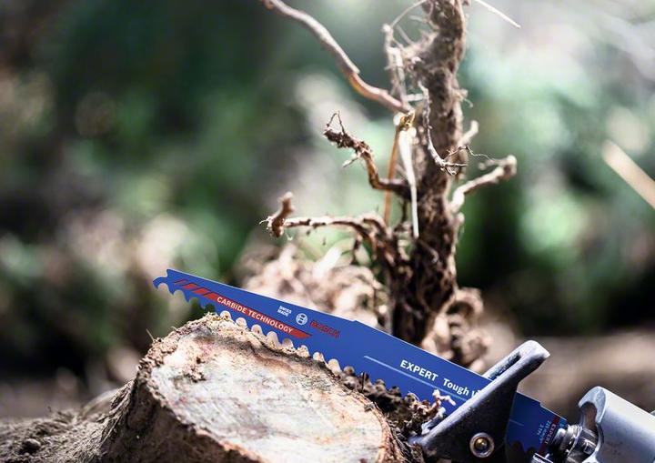 Productafbeelding Bosch Professional Zubehör Expert Taai Hout