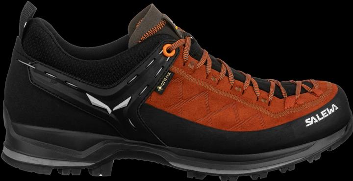 Actual product image Salewa Mountain Trainer 2 GORE-TEX® schuhe (44.5)