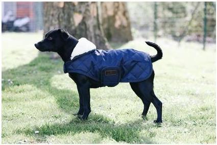 Produktbild Kentucky Dogwear Hundemantel 160g (S, M, Hundemantel)