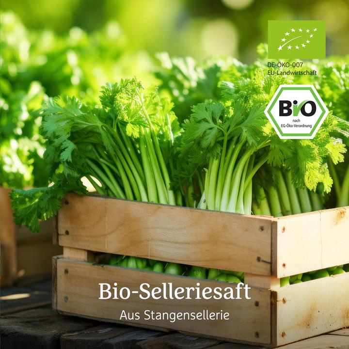 Immagine prodotto Effective Nature Succo di sedano biologico