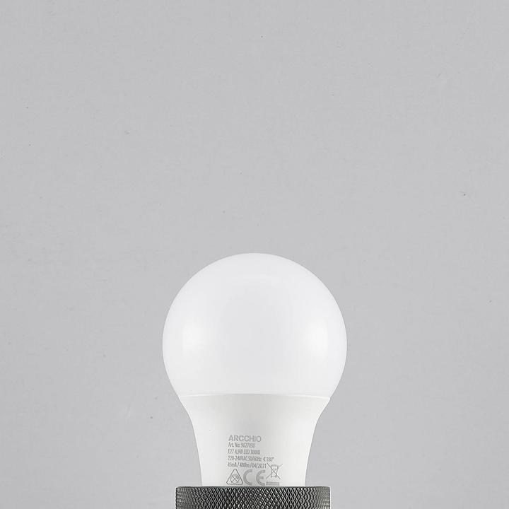 Actual product image Arcchio LED lamp E27 A60 4,9W 3.000K opal (E27, 4.90 W, 470 lm, 1 x, F)