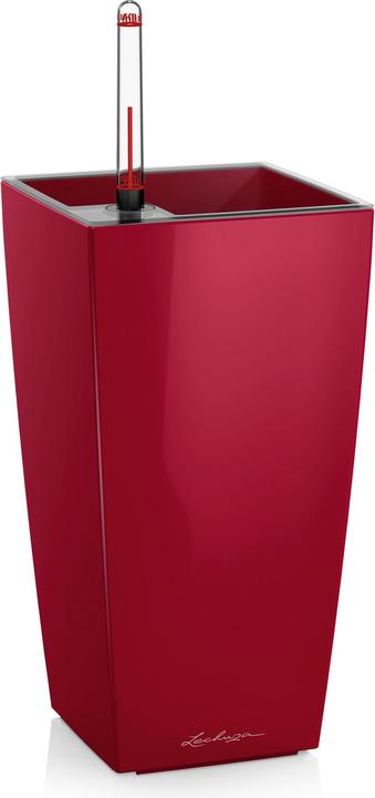 Lechuza Jardinière Maxi cubi Rouge (14 cm)