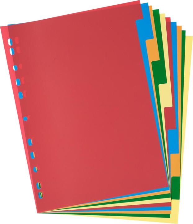 Image du produit Idena Répertoire en plastique A4 10 pièces 120µ
