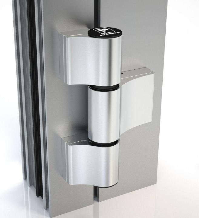 Actual product image Dr. Hahn Door Hinge Rooster Series 4 / A 951