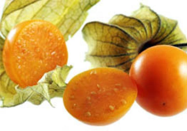 Produktbild Sativa Andenbeere Schönbrunner Gold (Pflanzensamen)