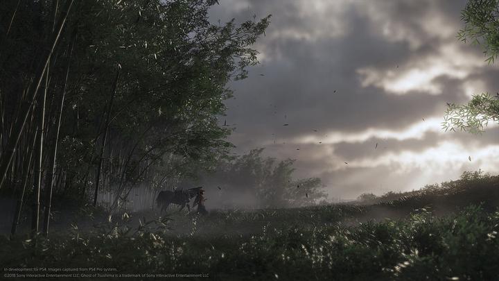 Immagine prodotto Sony Ghost of Tsushima (PS4, Multilingue)