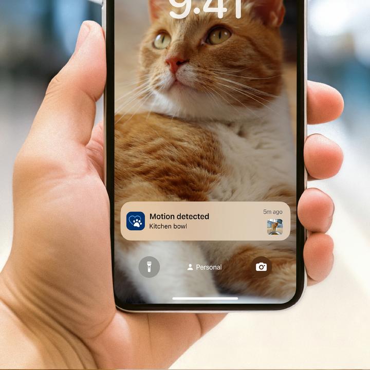 Image du produit Philips Distributeur de nourriture intelligent avec caméra (4.50 l)