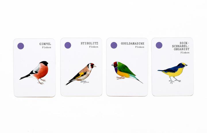 Image du produit Familles d'oiseaux (Allemand)