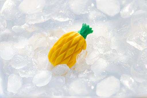 Actual product image Beeztees Fill n Freeze Fruit