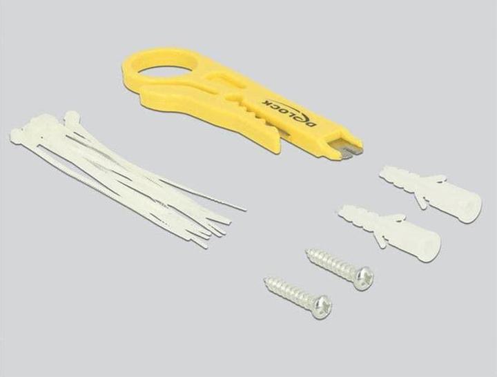 Actual product image Delock Desktop Patch Panel (Network Accessories)