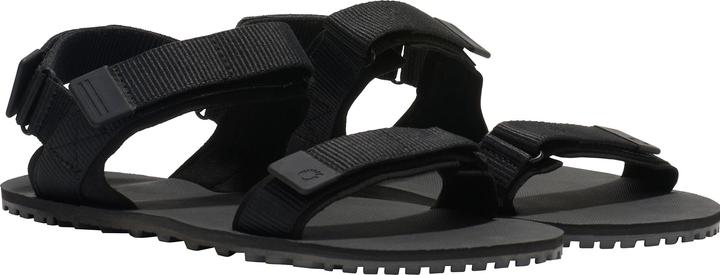Actual product image Xero Shoes D-Trail (46)