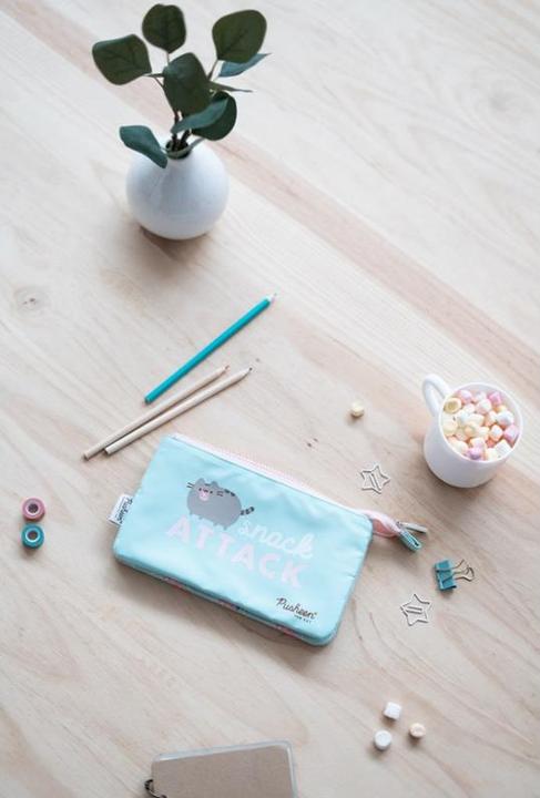 Actual product image Case Pusheen Mint, 21.5 x 12 cm