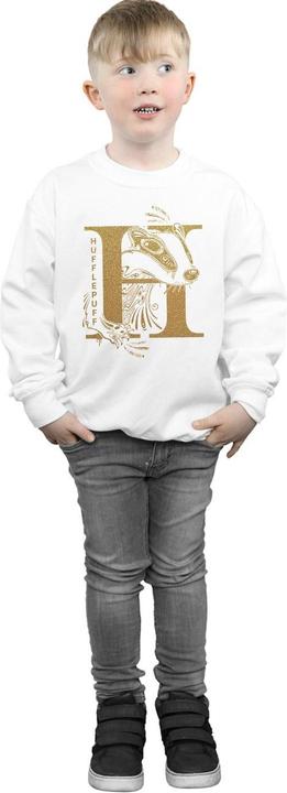 Image du produit - Sweat HUFFLEPUFF GLITTER - Garçon (140, 146)