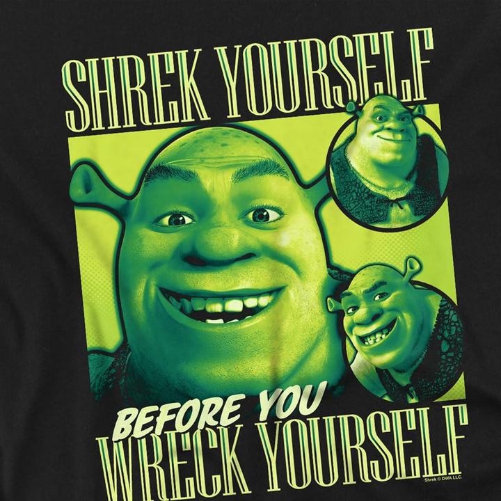 Actual product image Shrek Mens Yourself Bootleg T-Shirt (L)